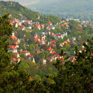Blick vom Jenzig auf Wenigenjena - Foto © Stadt Jena KSJ Streng