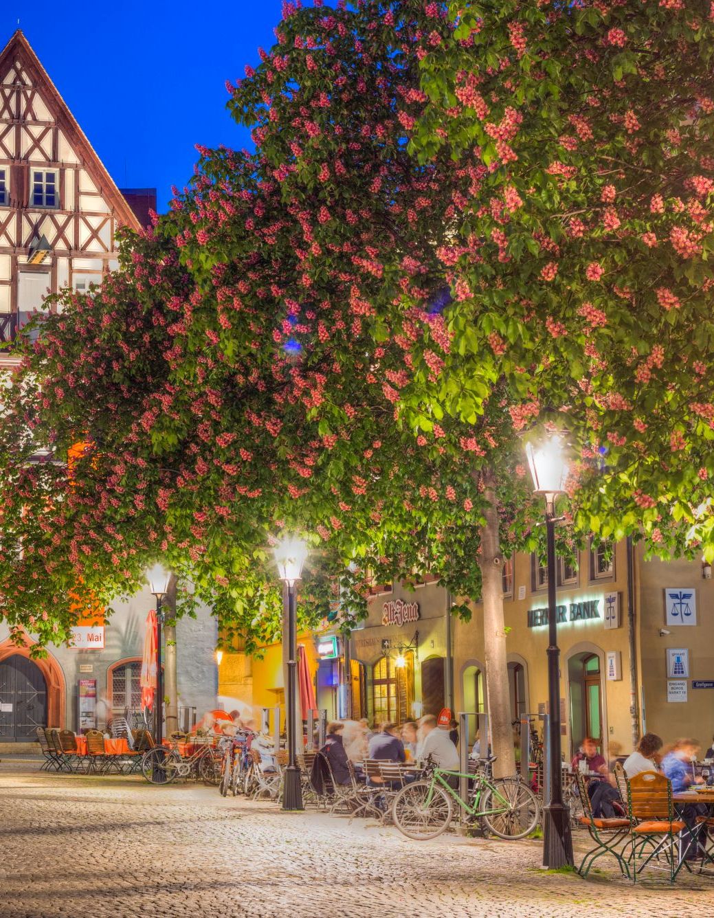 Marktplatz Jena mit Kastanienblühte