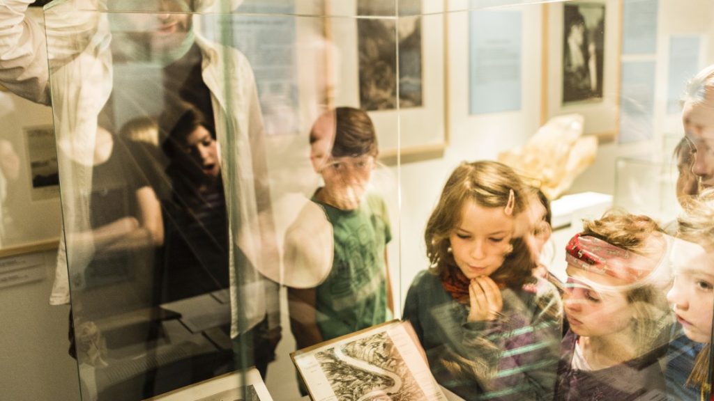 Kinder stehen staunend um eine Vitrine in den Städtischen Museen Jena