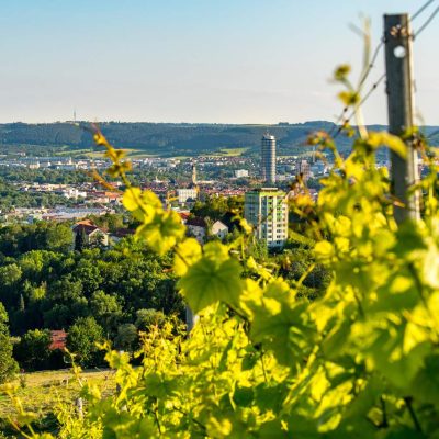 Blick vom Jenaer Käuzchenberg auf die Stadt Jena