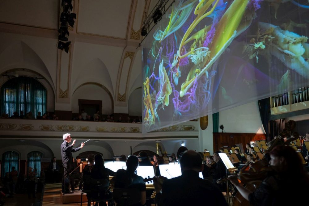 Lichtkunst über dem Orchester der Jenaer Philharmonie