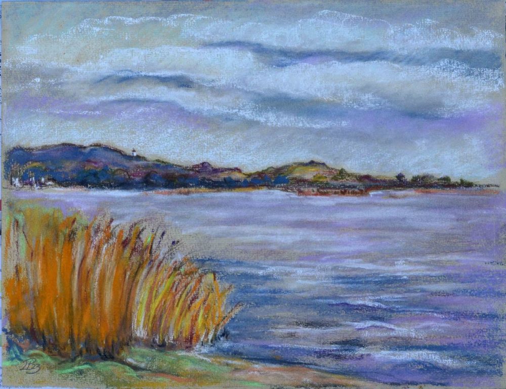 Gewässer mit Schilf am linken Bildrand, weiter weg eine Klippe und bewölter Himmel