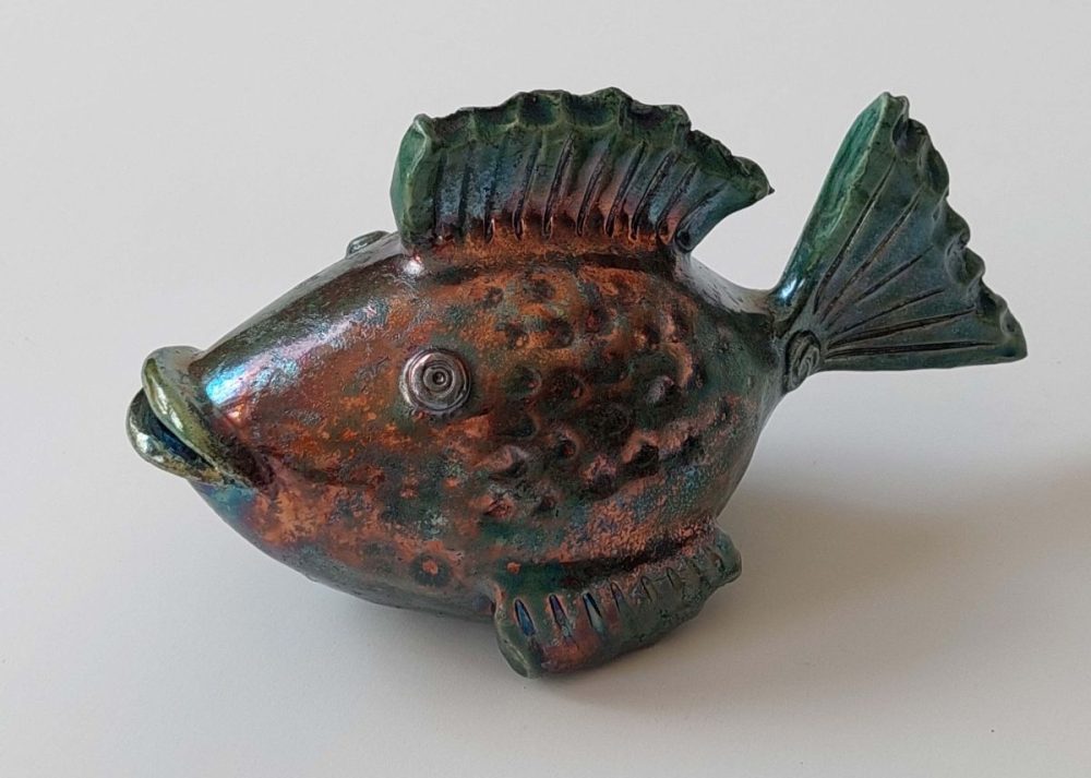 Ein braun-blauer Fisch mit, der leicht regenbogenfarbein schimmert.