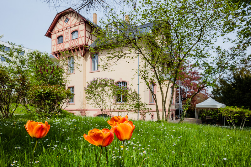 Ein Wohnhaus bzw. ein Gebäude in einem Garten. Im Vordergrund zu sehen sind schmale Bäume und orange-farbene Tulpen