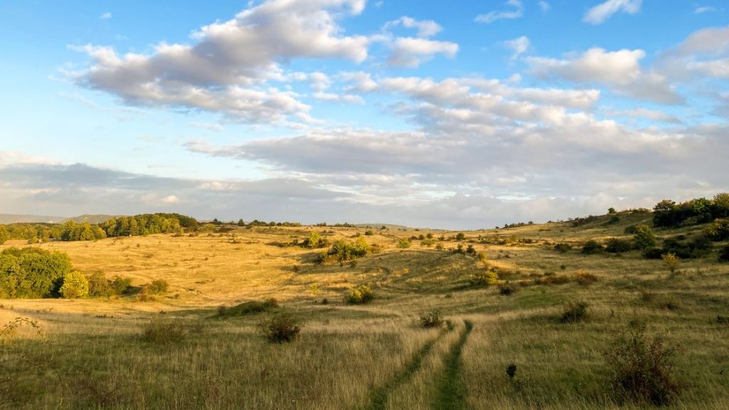 Panoramabild vom Windknollen in Jena