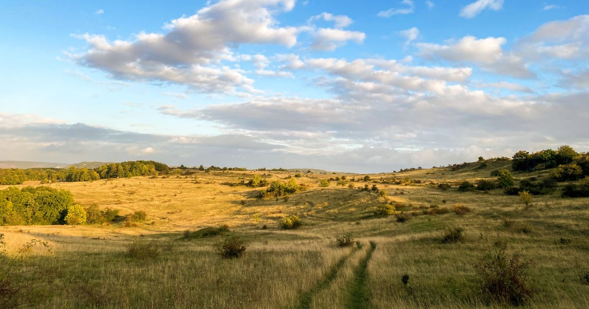 Panoramabild vom Windknollen in Jena